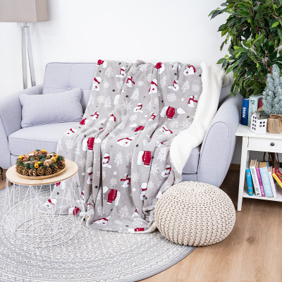 Plyšová deka Medvídci, 150 x 200 cm