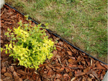 ALDOTRADE Neviditelný plastový obrubník 4,5x8x100 cm