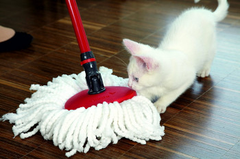 Mop Vileda Easy Wring and Clean