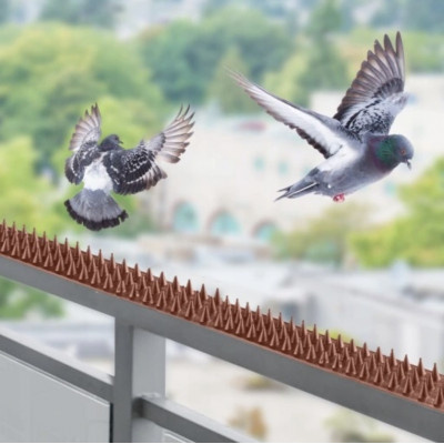 ALDOTRADE Hroty ochranné proti holubům PE 4,5x50cm