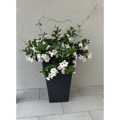 Květináč PIRAMIDE 50x50x87cm, antracit