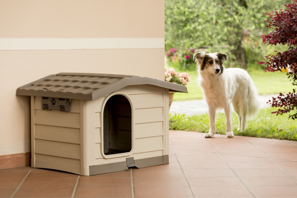 ALDOTRADE Psí bouda Bungalow střední 89x75x62cm – zelená